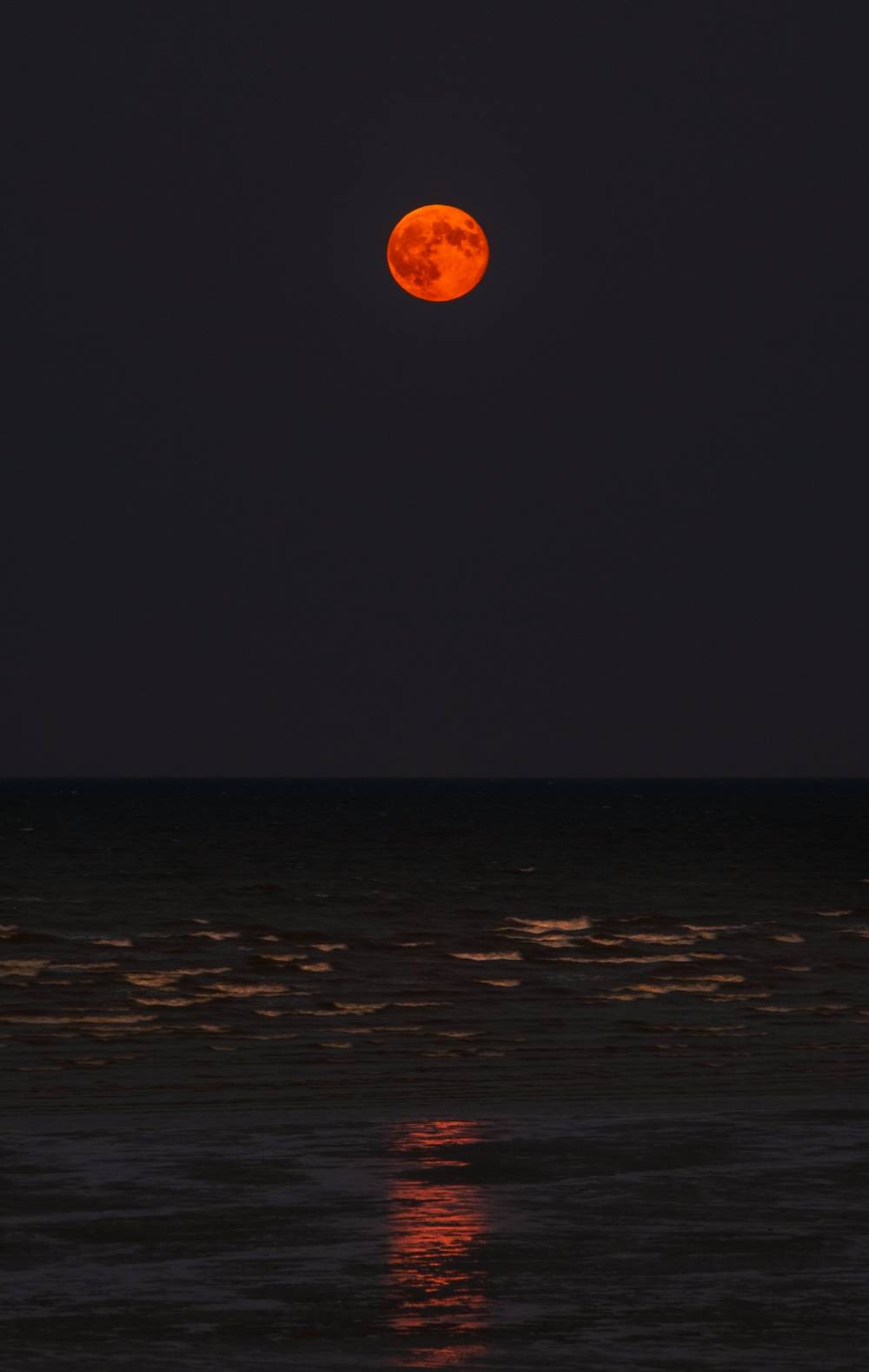 zoltan-tasi-RbWe2tBKCBk-unsplash