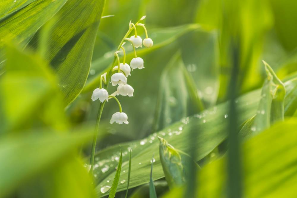 vitolda-klein-Gkz8EyzQIeo-unsplash (1)