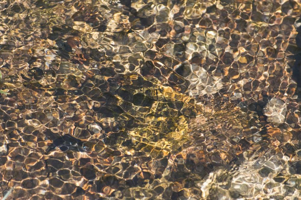 shyam--U0bjlSaj7k-unsplash (2)