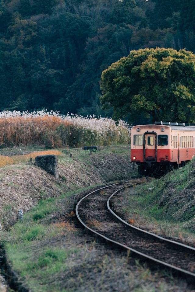 tsuyoshi-kozu-OnZRee6KtOE-unsplash