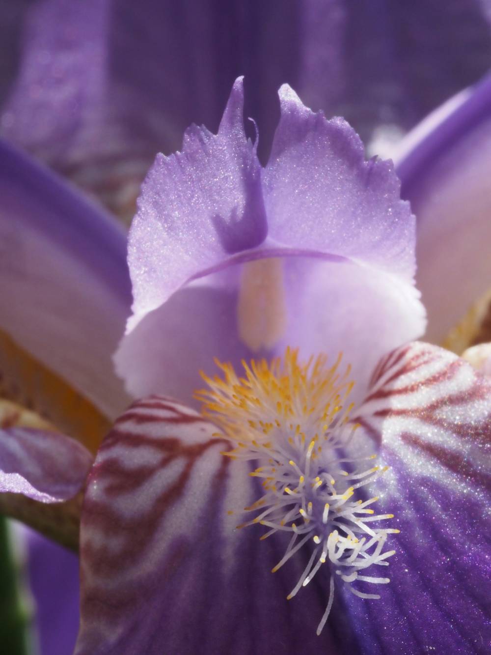 yuri-antonenko-Oc8L_bgC_g4-unsplash