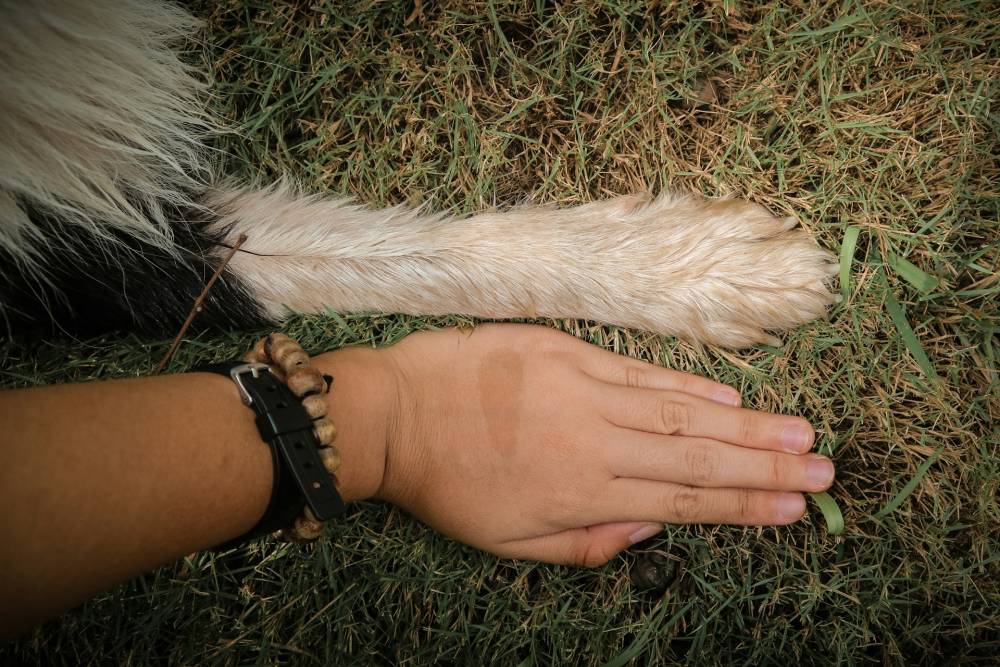 thanh-soledas-ILO-35Kb-So-unsplash (1)