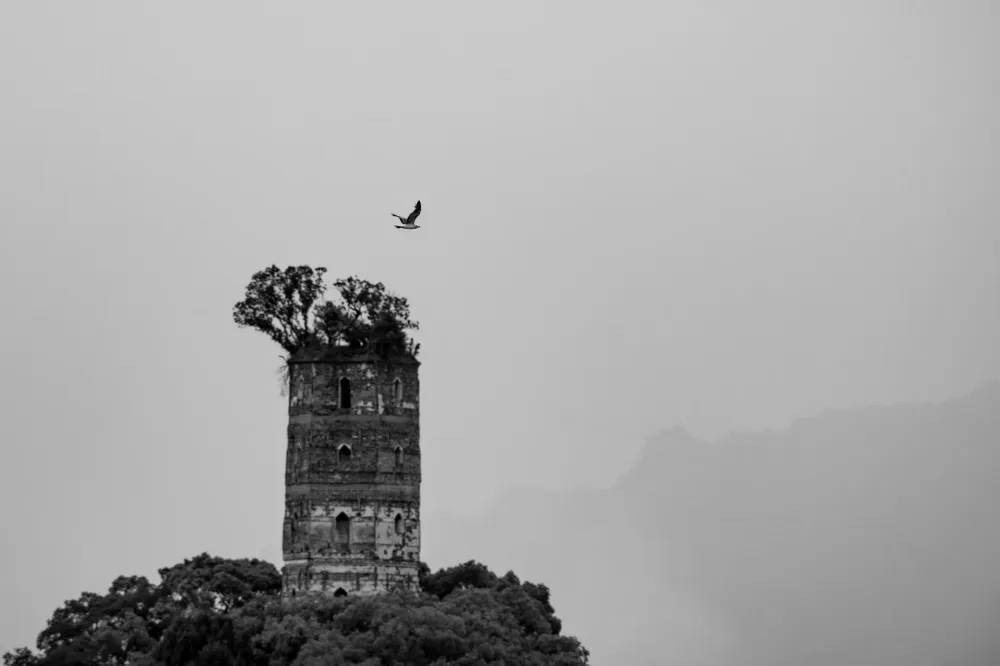 Le jour d'après, de Roselyne Crohin
